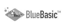 Blue Basic